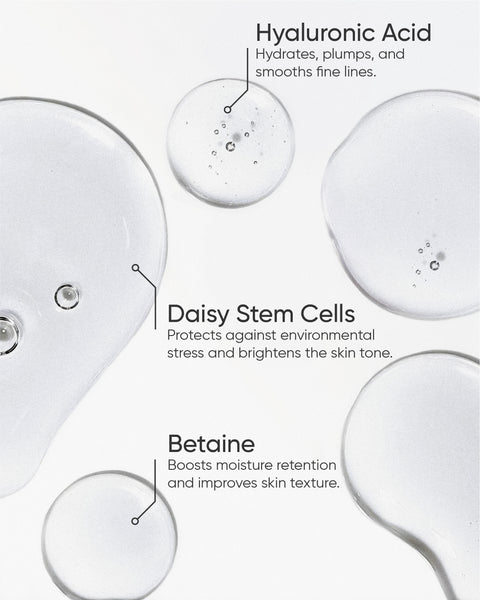 THE TONER REFILL