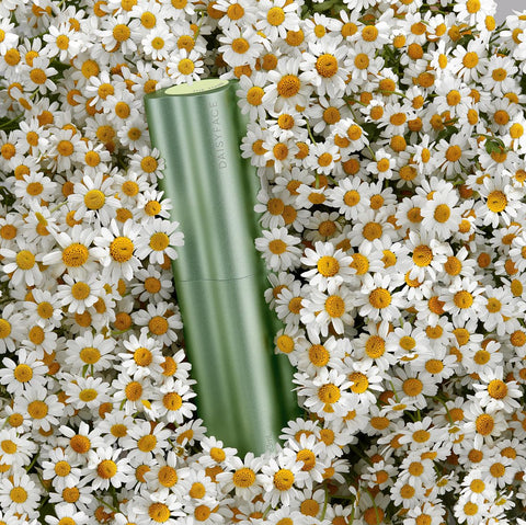 Every DAISYFACE product is infused with antioxidant-full Daisy Stem Cells.
