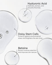 THE TONER REFILL