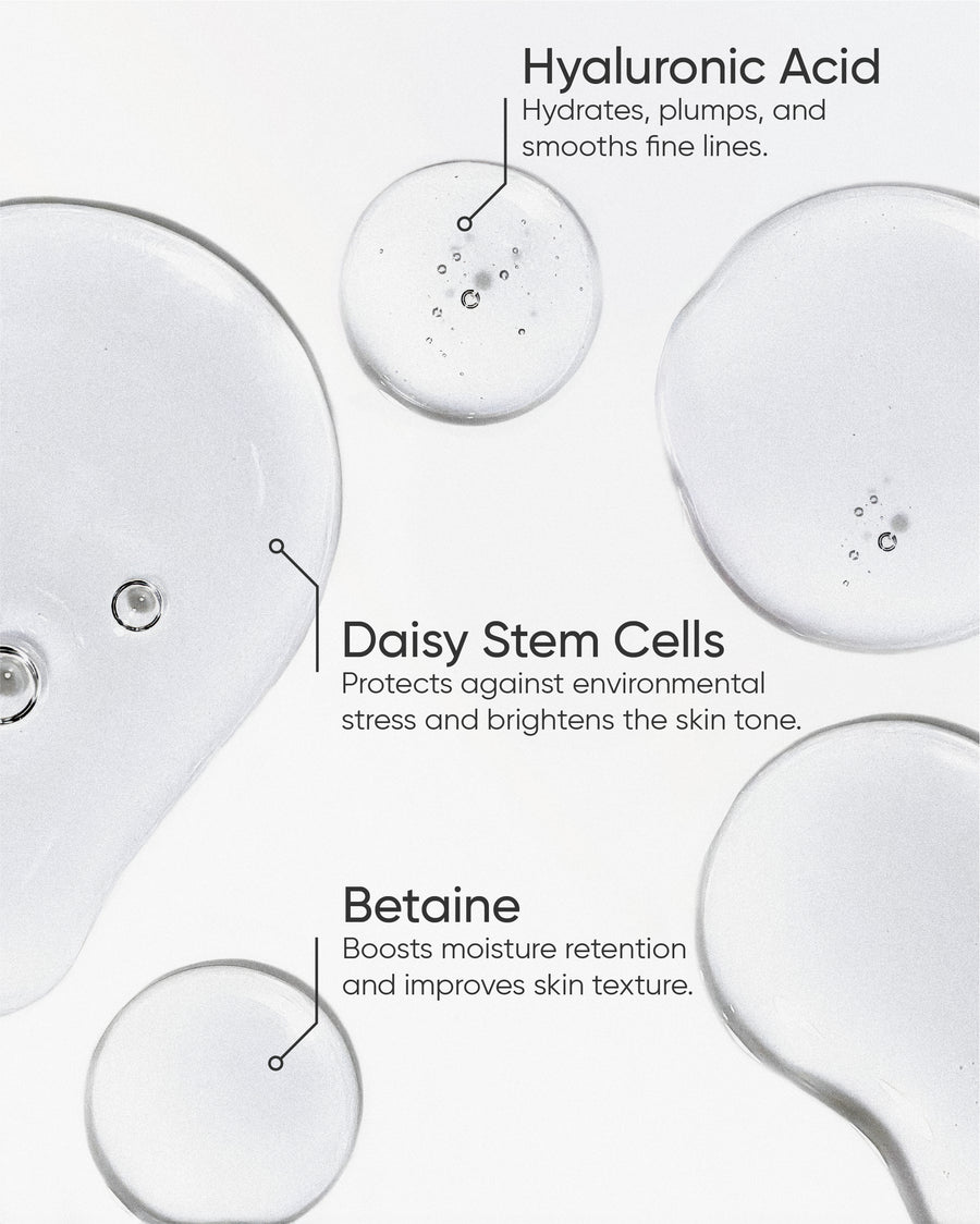 THE TONER REFILL