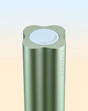 THE CLEANSER