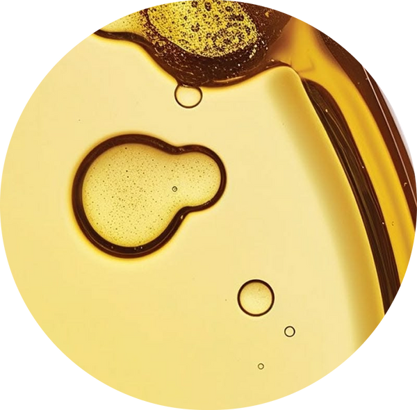 Daisy Oil